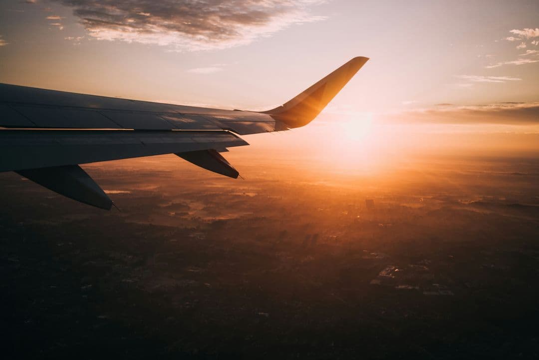 Digital Copies of Important Documents: Why Your Passport Should Be First