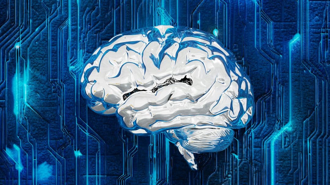 The Second Brain: Extend Your Memory to Improve Your Thinking